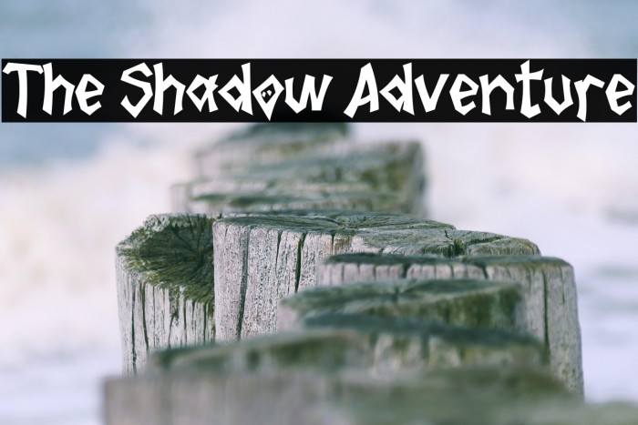 The Shadow Adventure Example 3