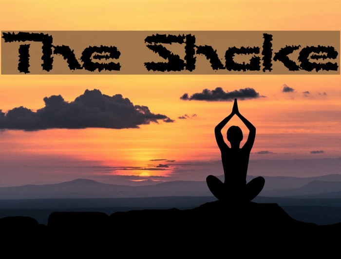 The Shakes Example 3