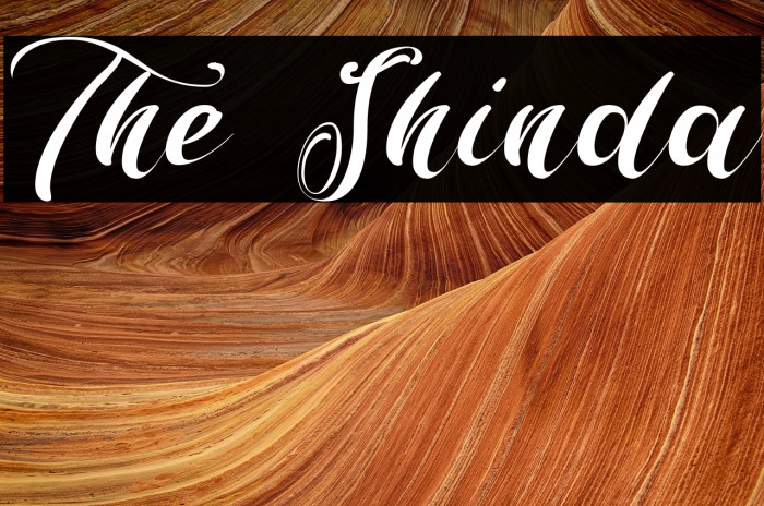 The Shinda Example 1