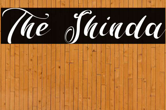 The Shinda Example 3
