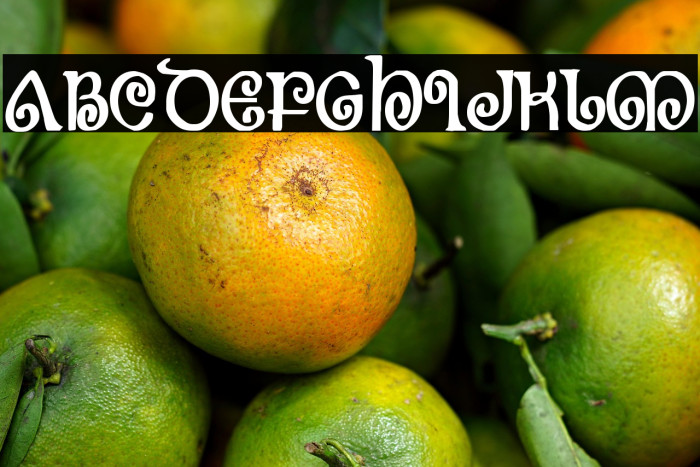 The Shire Bold Condensed Example 1