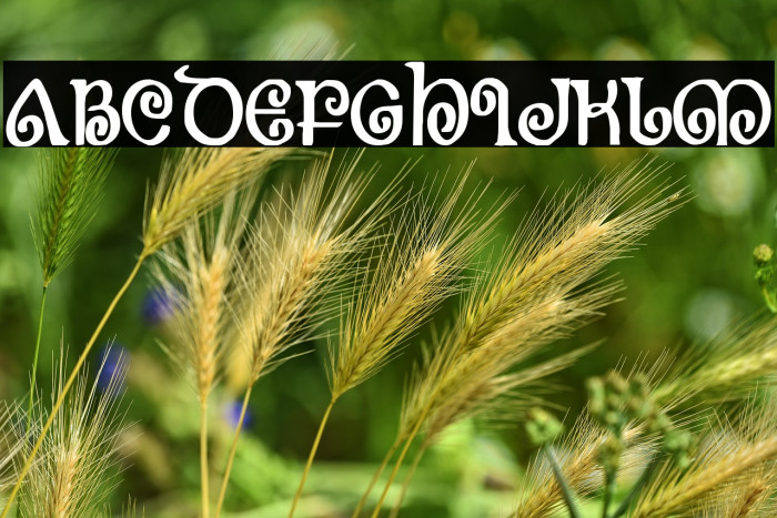 The Shire Bold Condensed Example 3