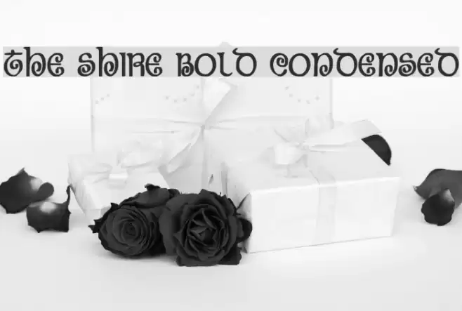 The Shire Bold Condensed Font examples