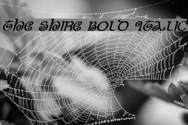 The Shire Bold Italic Caratteri examples