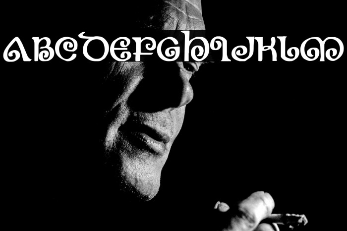 The Shire Bold Example 2