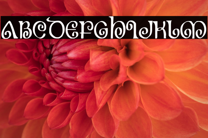 The Shire Condensed Example 2