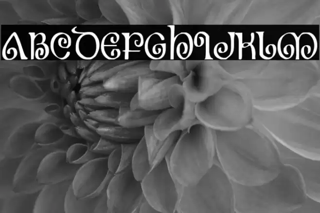 The Shire Condensed Font examples