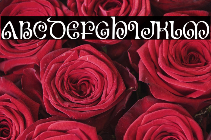 The Shire Condensed Example 3