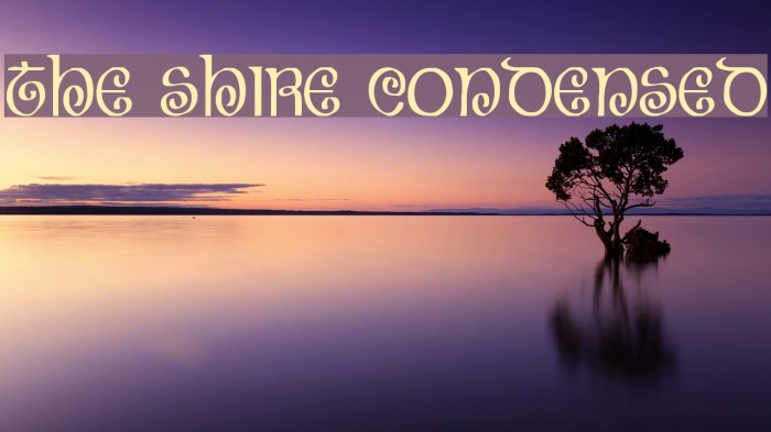 The Shire Condensed Font examples