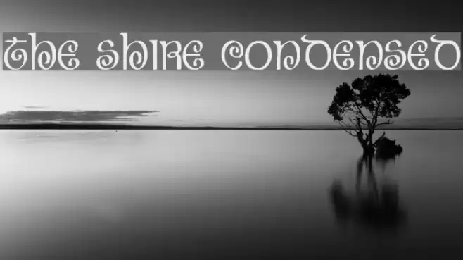 The Shire Condensed Polices examples