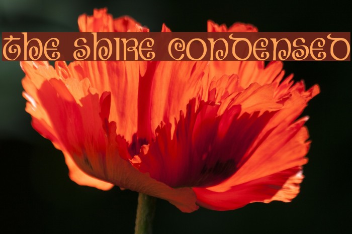 The Shire Condensed Font examples
