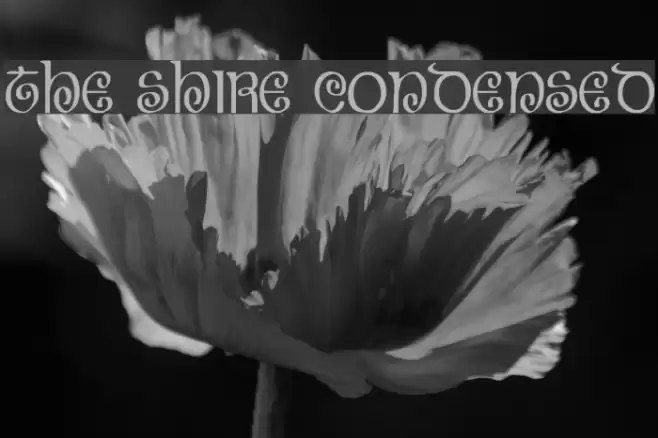 The Shire Condensed Polices examples