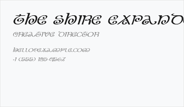 The Shire Expanded Italic Business Card