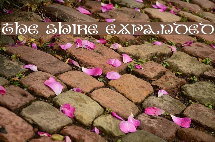 The Shire Expanded Font examples
