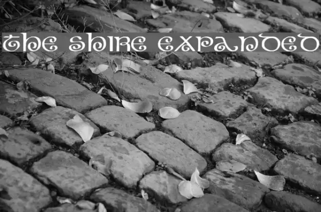 The Shire Expanded Polices examples