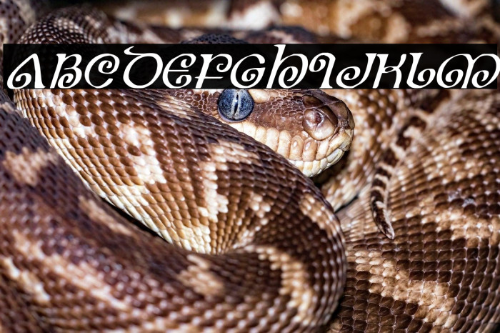 The Shire Italic Example 2