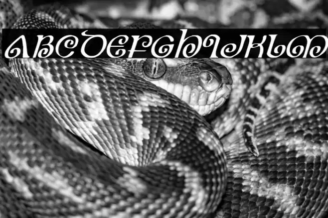 The Shire Italic Font examples