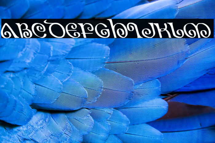 The Shire Leftalic Example 1