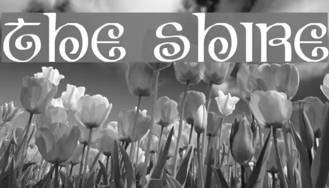 The Shire Font examples