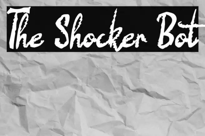 The Shocker Bot Polices examples