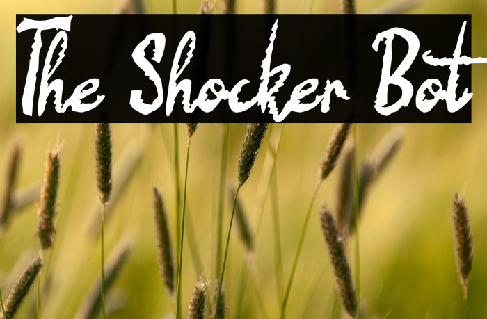 The Shocker Bot Example 3