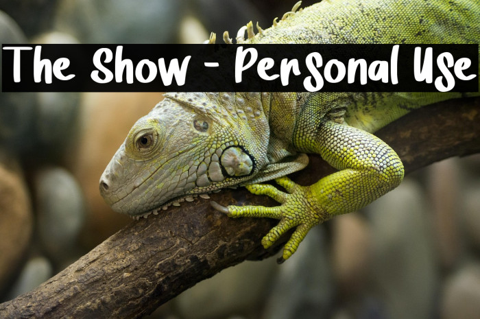 The Show - Personal Use Example 1