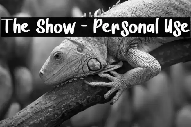 The Show - Personal Use Polices examples