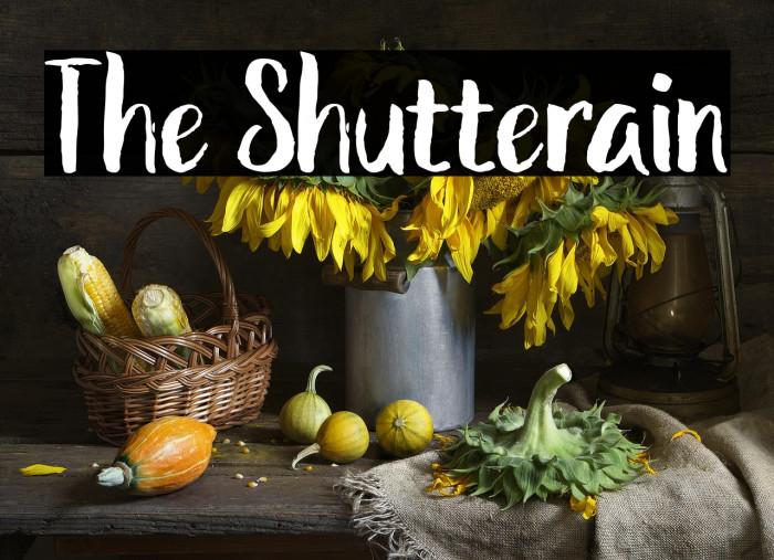 The Shutterain Example 1