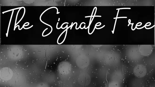 The Signate Free Font examples
