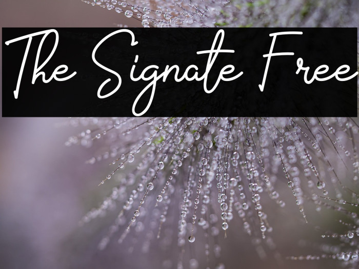 The Signate Free Example 2