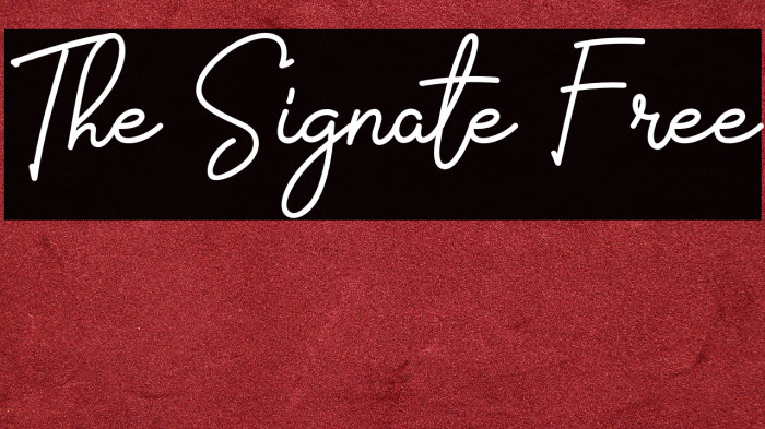 The Signate Free Example 3