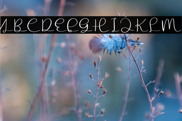 The Signature Example 3