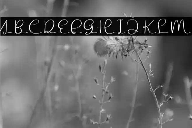 The Signature Font examples