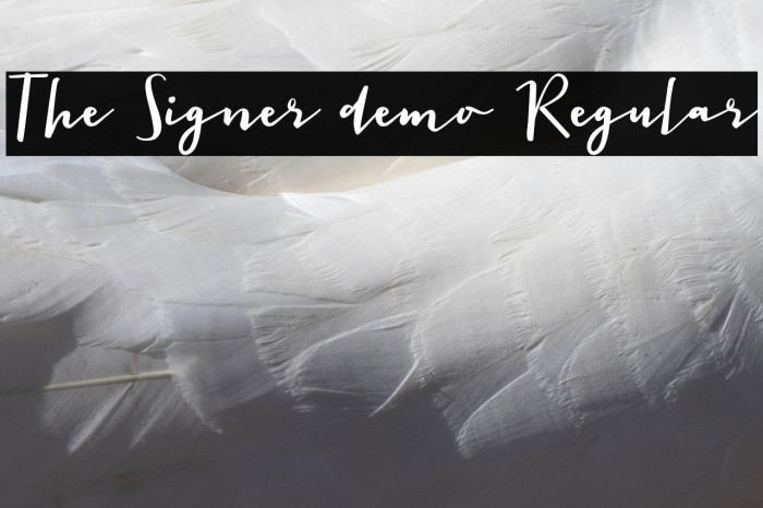 The Signer demo Regular Example 1