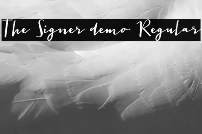 The Signer demo Regular Font examples