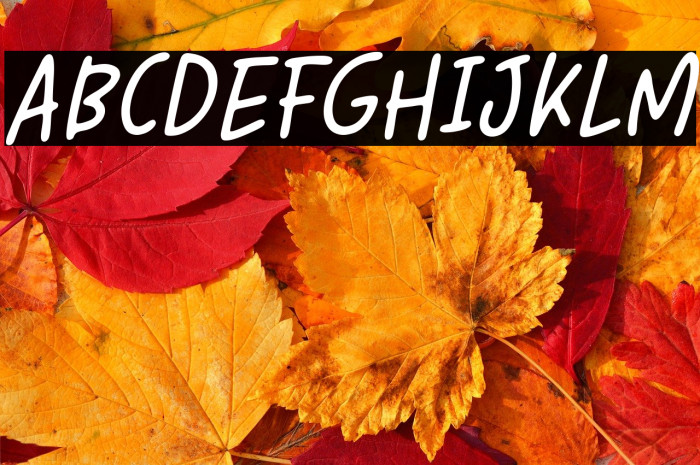 The Simple One Italic Example 1