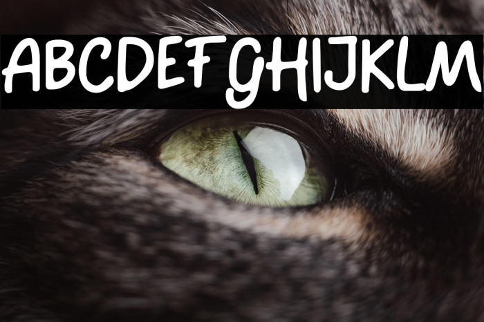 The Simsong Example 3