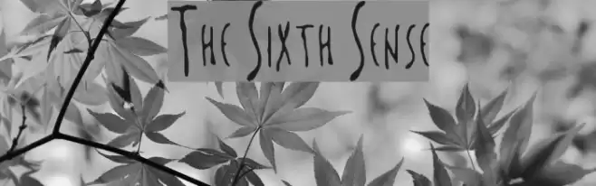 The Sixth Sense Font examples