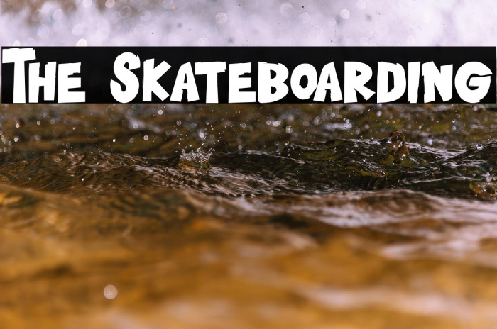 The Skateboarding Example 3