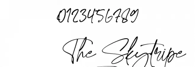 The Skytripe Font OTHER CHARS