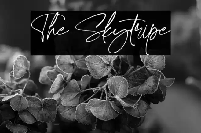 The Skytripe Font examples