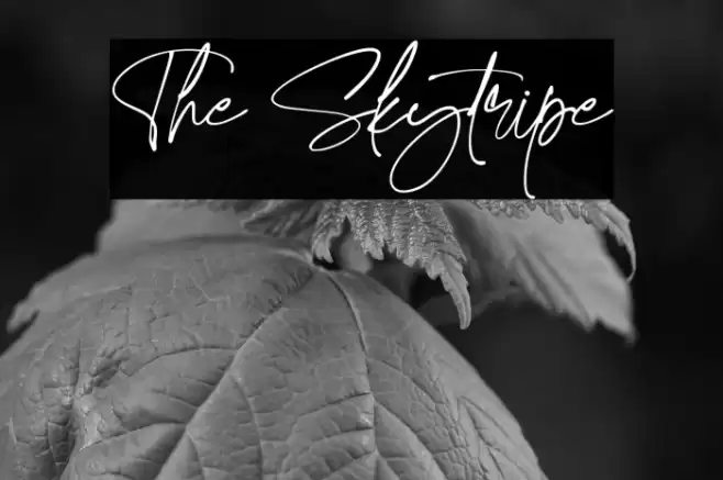 The Skytripe Font examples