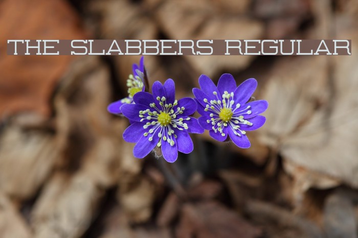 The Slabbers Regular Font examples