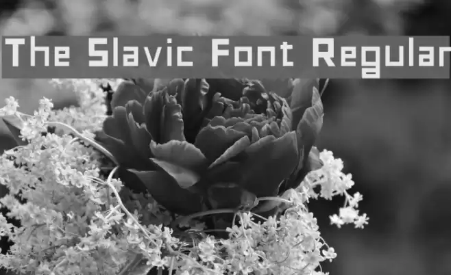 The Slavic Font Regular Font examples