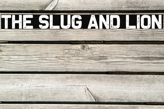 The Slug and Lion Font examples