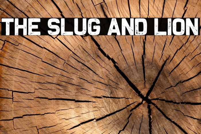 The Slug and Lion Font examples