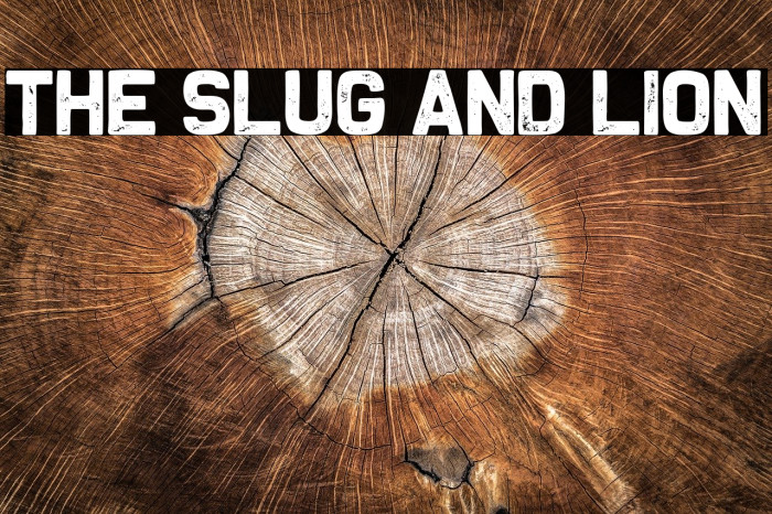 The Slug and Lion Font examples
