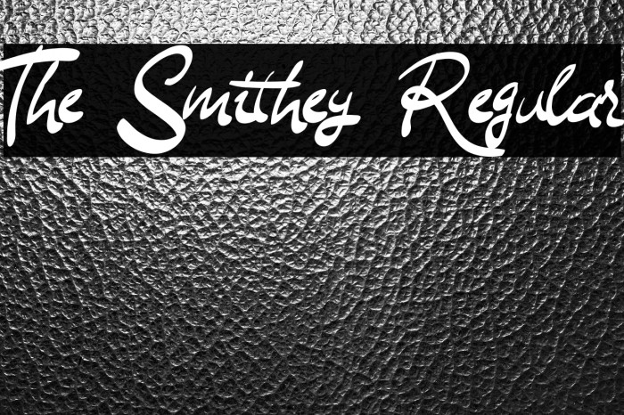 The Smithey Regular Example 3