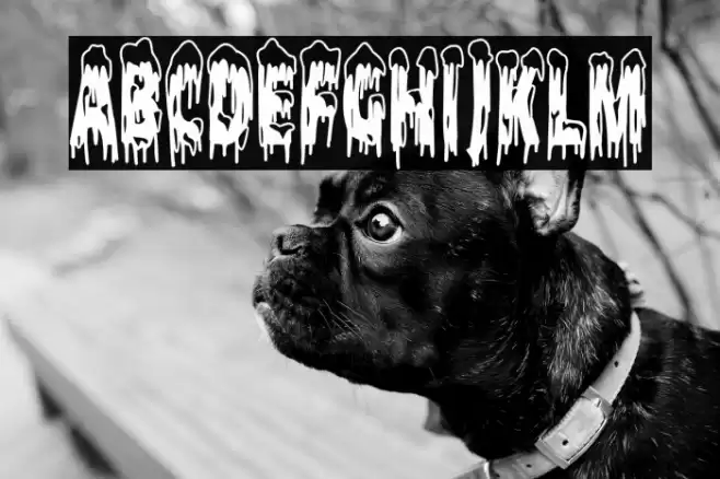 The Snow Nightmare Font examples