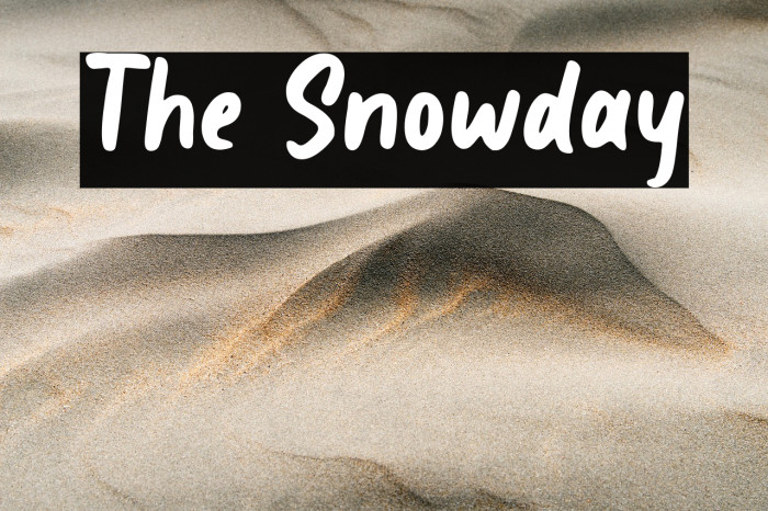 The Snowday Example 1